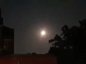 Jacquelien 02 Dag na volle maan